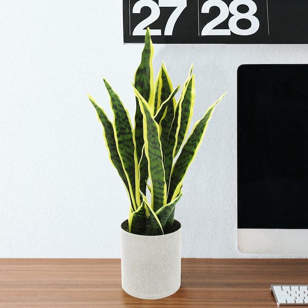 LIVING LUXURY 18 in. Green Yellow Sansevieria Artificial Snake Plant in Grey Pot