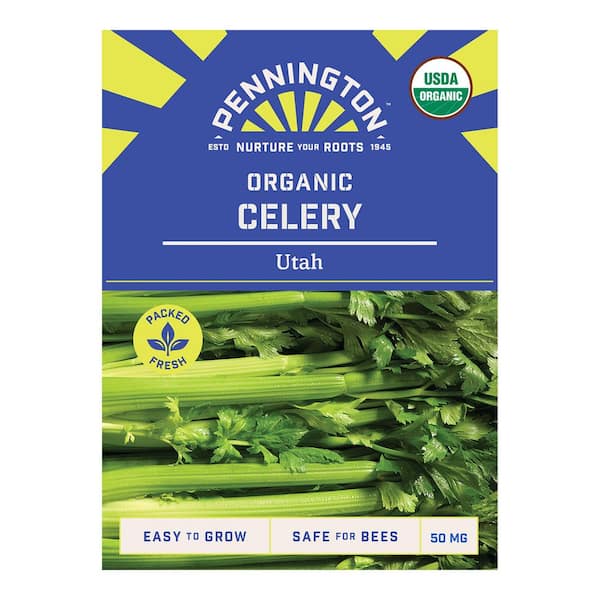 Organic Utah Celery Vegetable Seeds