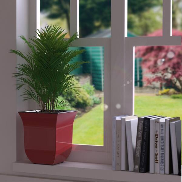 Mayne Valencia 8 in. Single Square Self-Watering Red