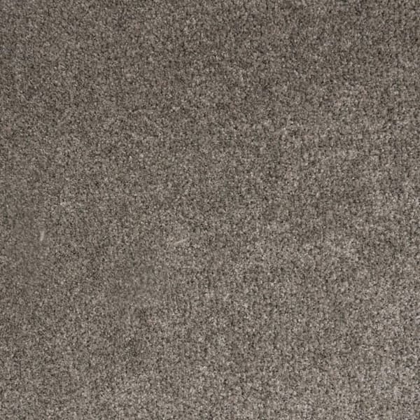 Lifeproof with Petproof Technology Lurelin -Royal- Brown 68 oz. Triexta Polyester Textured Carpet - Installation Required