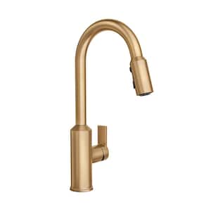 Meena Single-Handle Pull-Down Sprayer Kitchen Faucet with Power Clean and Reflex in Bronzed Gold