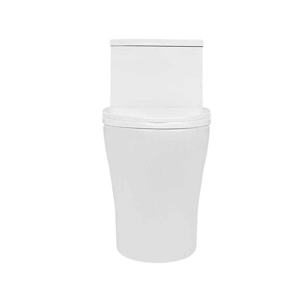 Ally White Ceramic Dual-Flush Elongated One-Piece Toilet