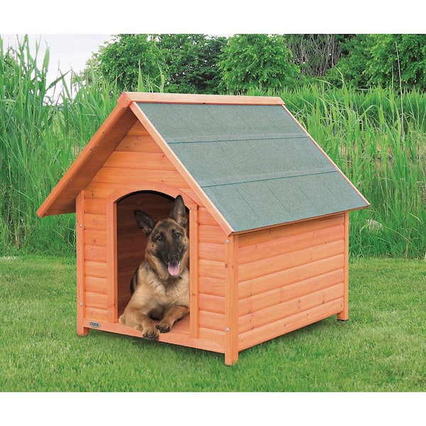 Cottage kennel dog house best sale