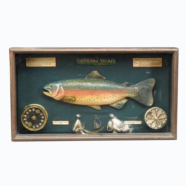 Antique Reproductions 12 in. Rainbow Trout Shadow Box