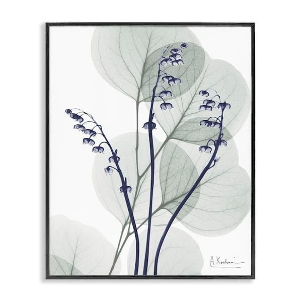 Serene Modern Eucalyptus by Albert Koetsier Black Framed Nature Giclee Art Print 20 in. x 16 in.