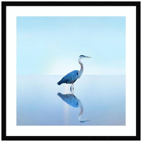 Amanti Art "Beachscape Heron II" by James McLoughlin 1 Piece Wood Framed Color Animal Photography Wall Art 25-in. x 25-in. .