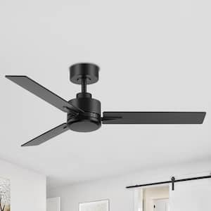 Alonso 48 in. Indoor 6 Speeds Black Ceiling Fan with Remote Control and Downrod Included