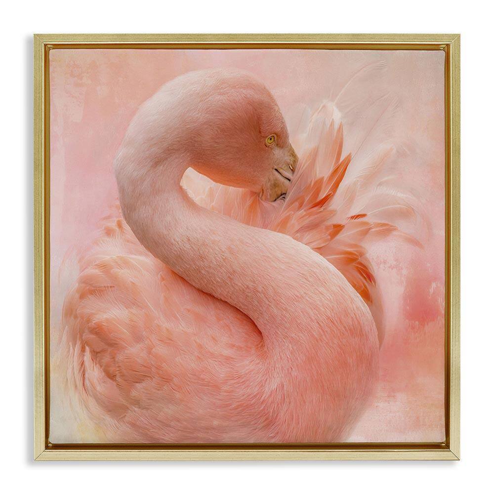 Cocoon of Plumage by Kelley Parker Gold Floater Frame Animal Graphic Art Print 25 in. x 25 in. price history on PriceWatchPro