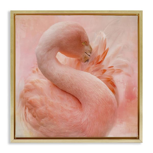 Stupell Industries Cocoon of Plumage by Kelley Parker Gold Floater Frame Animal Graphic Art Print 25 in. x 25 in.