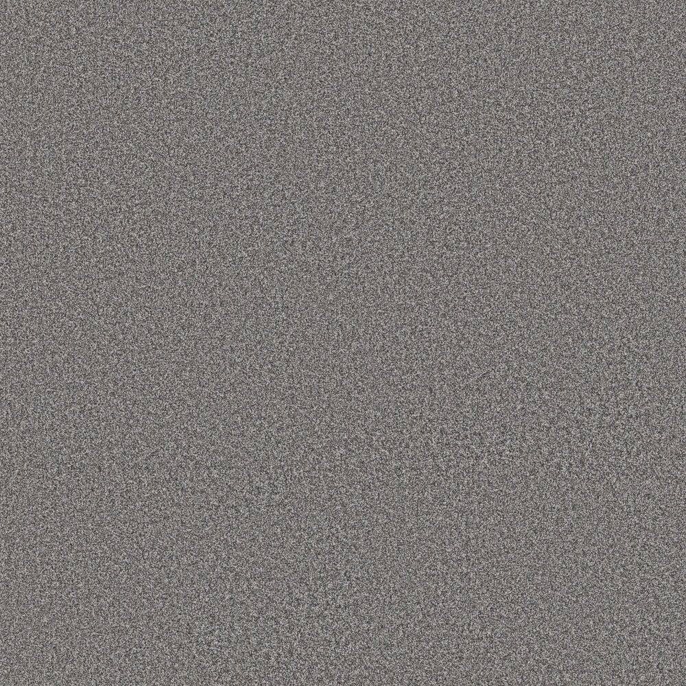 8 in. x 8 in. Texture Carpet Sample - Snug Sweets II - Color Pixel price history on PriceWatchPro