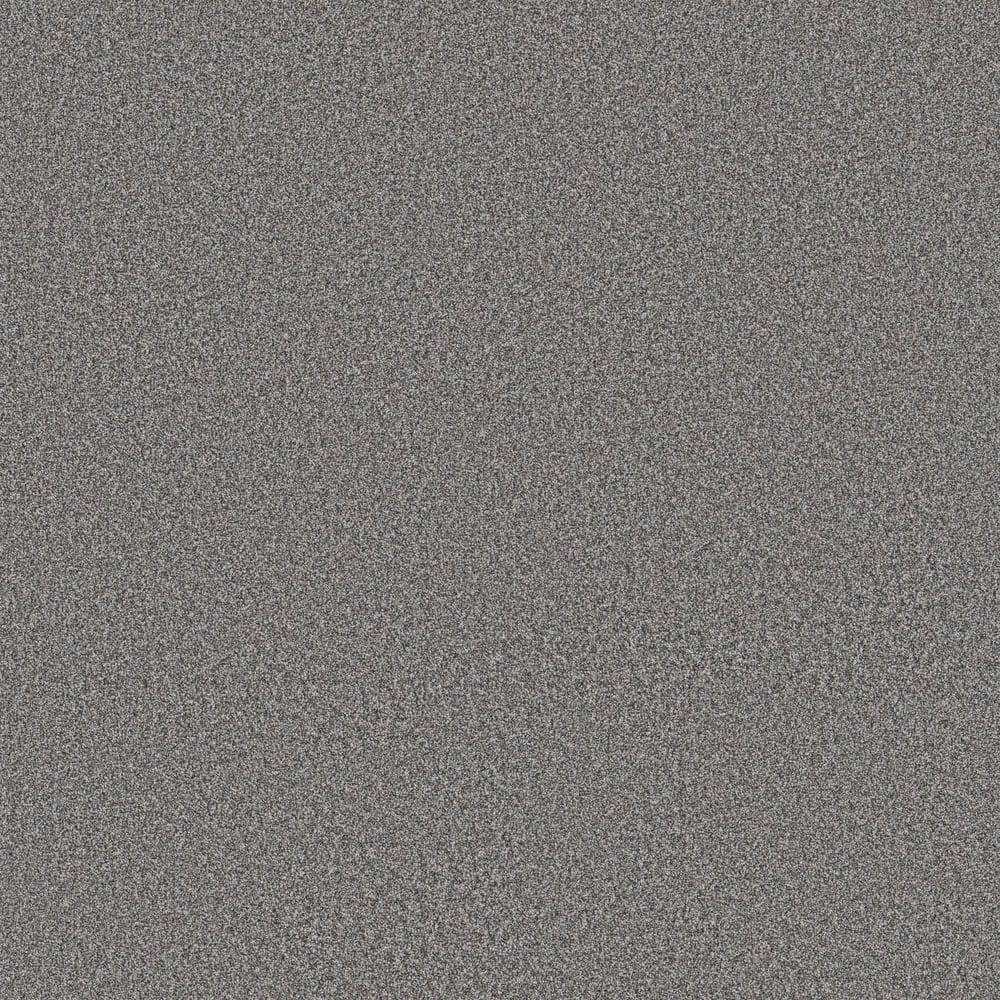 8 in. x 8 in. Texture Carpet Sample - Snug Sweets III - Color Pixel price history on PriceWatchPro