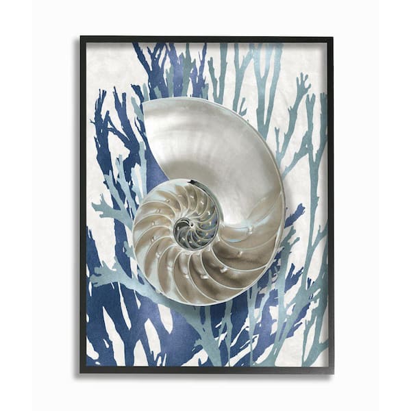 Stupell Industries "Shell Coral Beach Blue Design" by Caroline Kelly Framed Nature Wall Art Print 11 in. x 14 in.