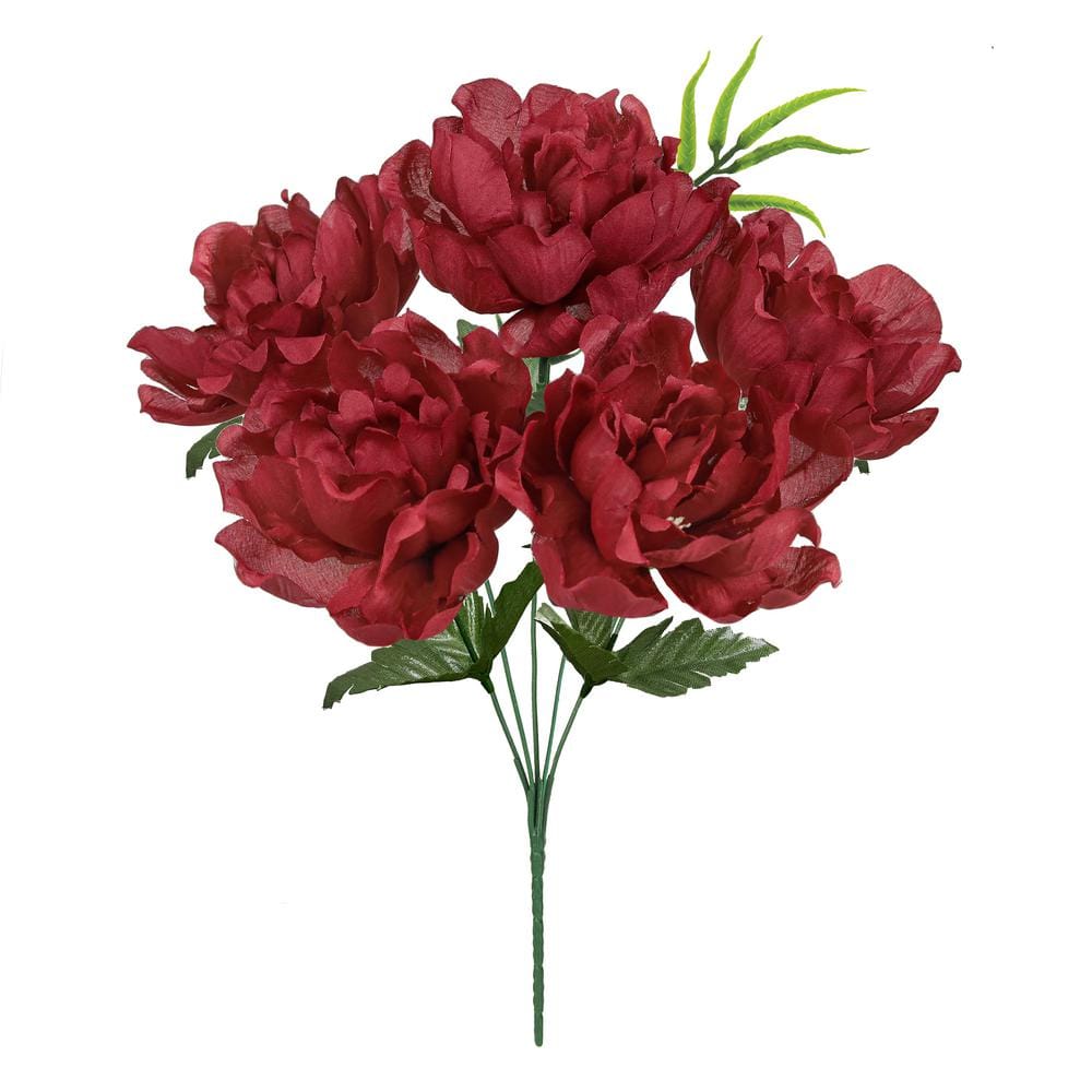 ✳︎peony✳︎ Peony - Van Zyverden