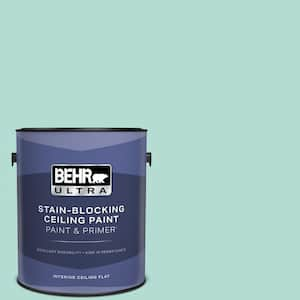 1 gal. #490C-3 Balmy Seas Ceiling Flat Interior Paint and Primer