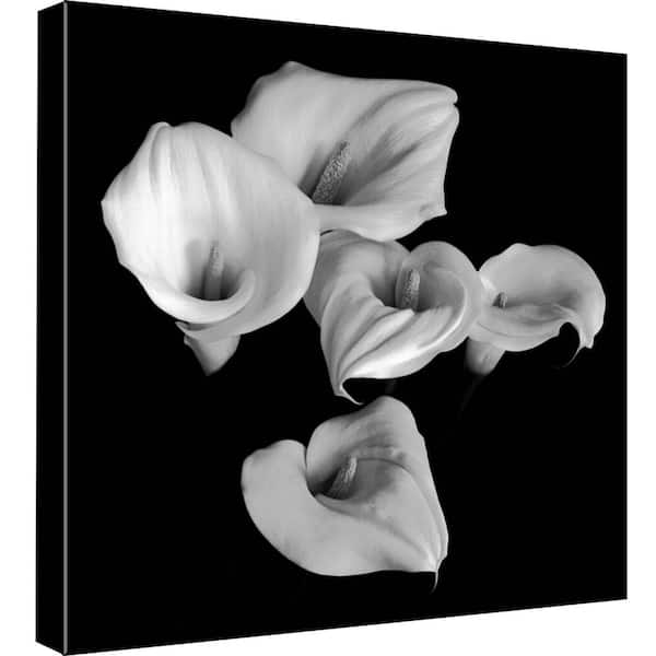PTM Images 15 in. x 15 in. ''Nature Blooms'' Printed Canvas Wall Art