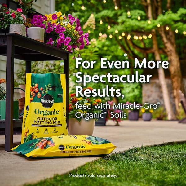 Miracle-Gro - Organic Plant Food 32 Oz., All Purpose, Feeds Instantly, Use with Container Plants and In Gardens, 1.4 - 0.5 - 1