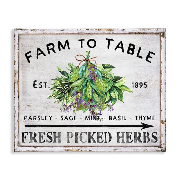 Stupell Industries Vintage Farm Herbs by Creatif Belle Unframed Food Graphic Art Print 24 in. x 30 in.
