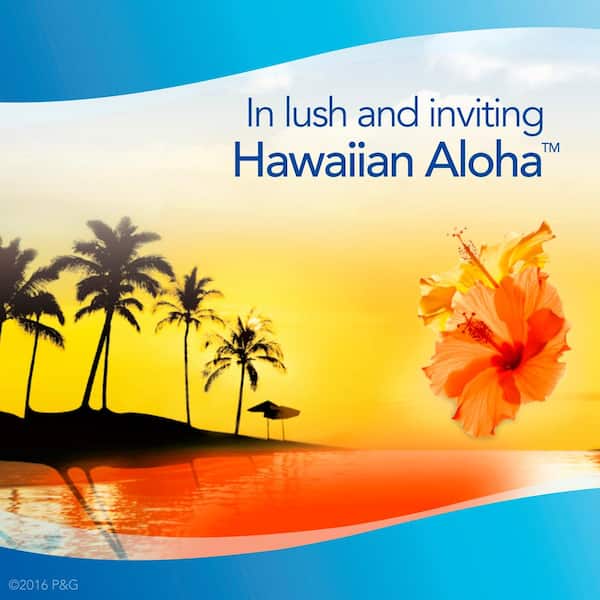 Febreze Set and Refresh 0.18 oz. Hawaiian Aloha Cartridge Air Freshener  Starter Kit 003700090188 - The Home Depot