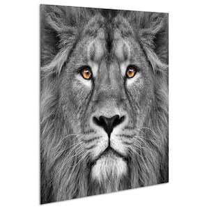"Lion & Tiger" Glass Wall Art Printed on Frameless Free Floating Tempered Glass Panel