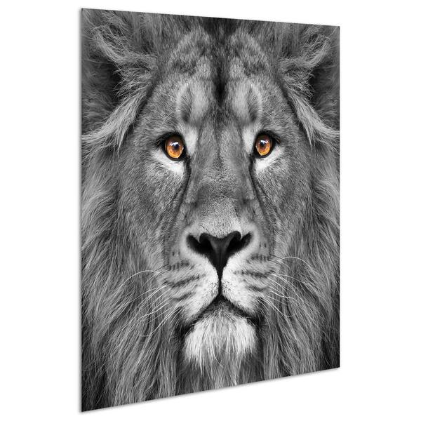 38 In X 38 In King Of The Jungle Lion Frameless Free Floating Tempered Glass Panel Graphic Art Tmp 38 The Home Depot