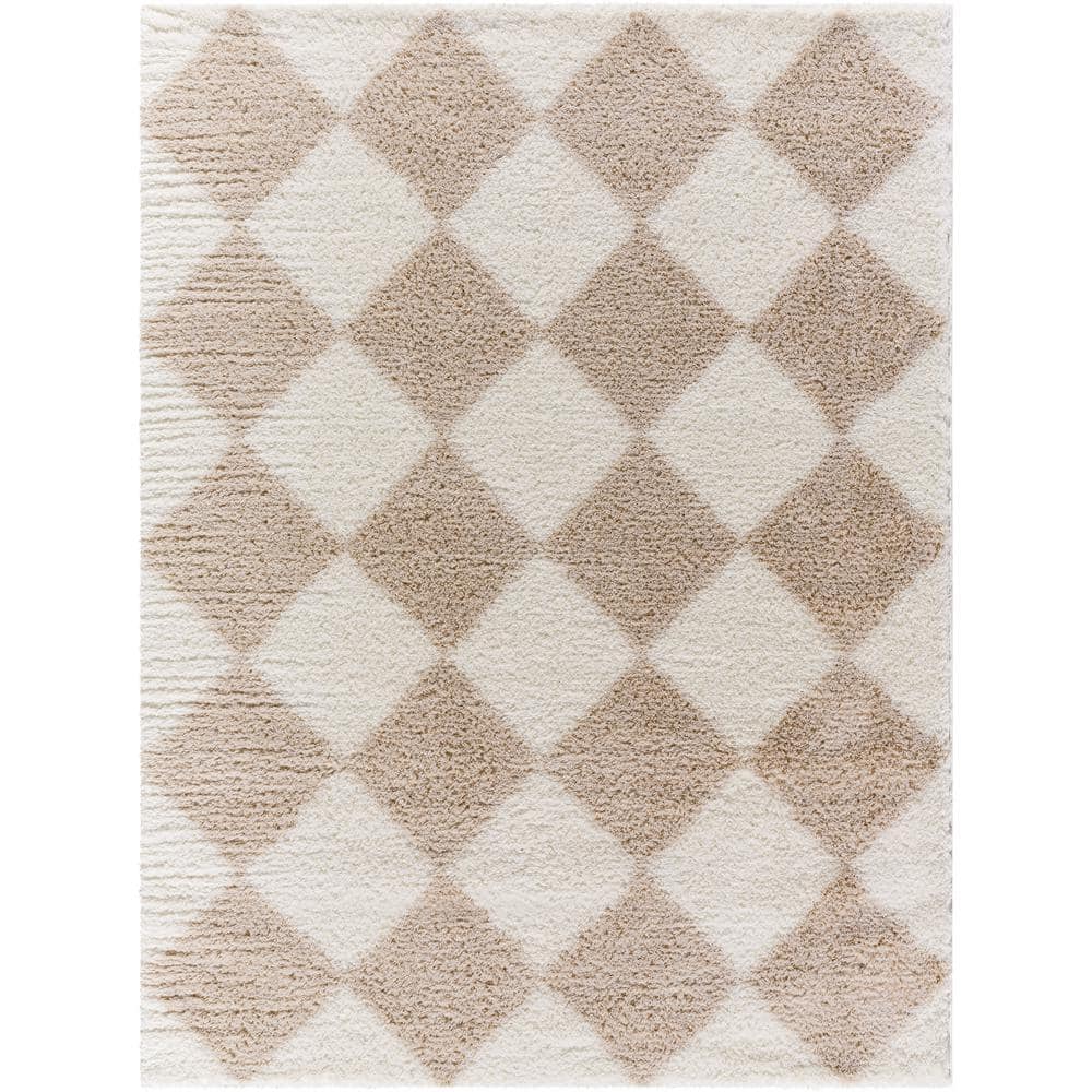 Cloudy Shag Beige/Ivory 5 ft. x 7 ft. Modern Indoor Area Rug price history on PriceWatchPro