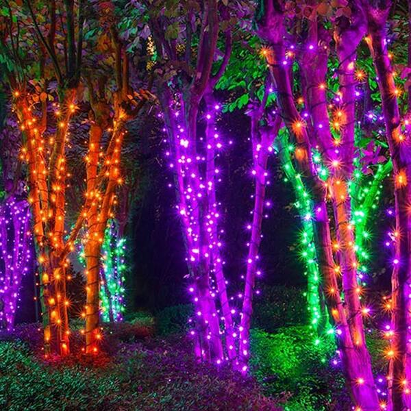 Angel Sar 100 ft. Halloween 300 LED String Lights with 8 Lighting