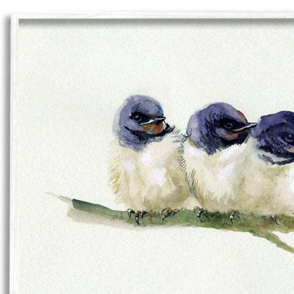 White Framed Trio of Baby Swallows Canvas Print, 24 x 30