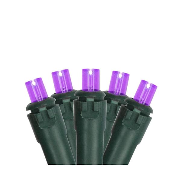 Northlight Set of 50 Purple LED Wide Angle Christmas Lights - Green Wire