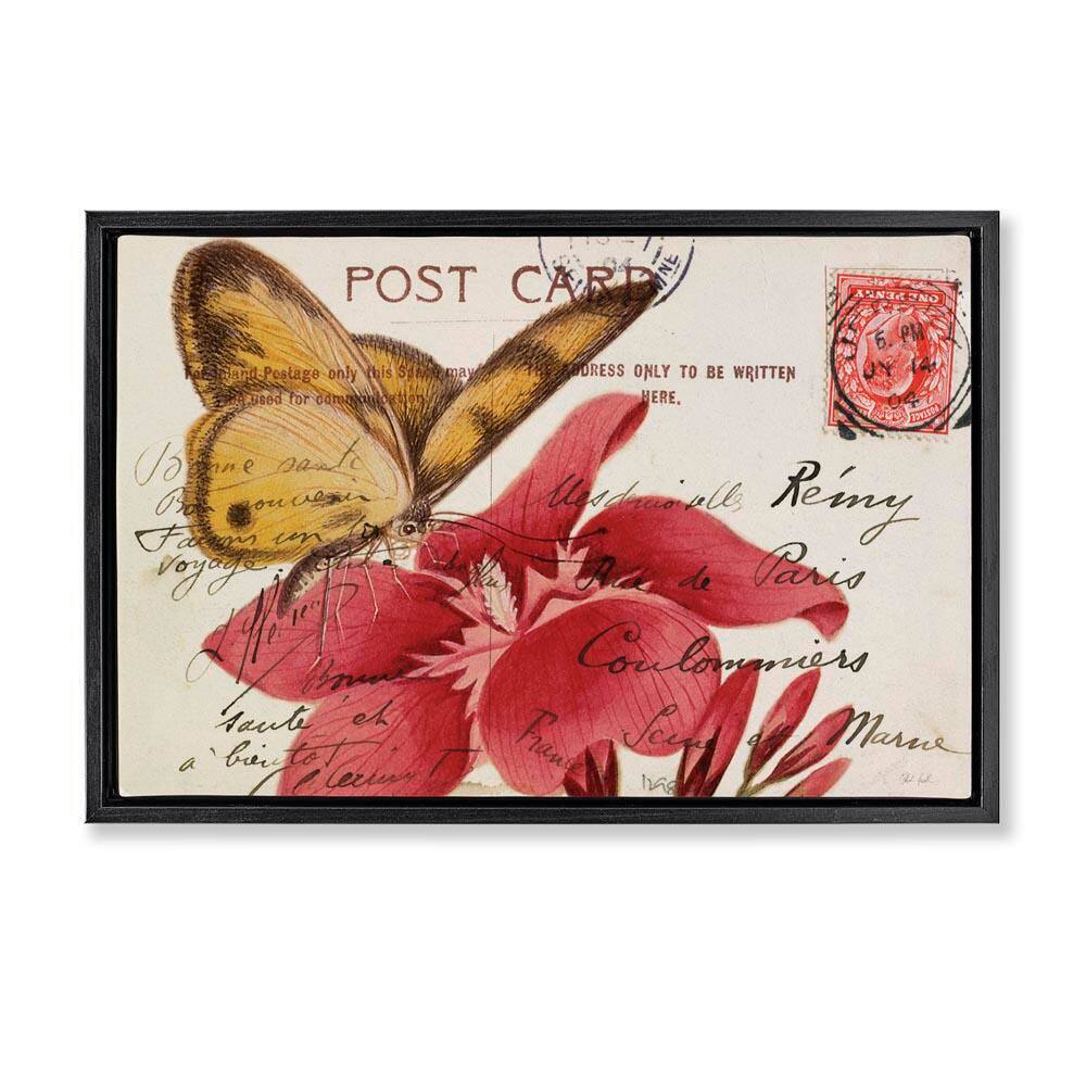 Antique Postcard & Butterfly by Deborah Revell Black Floater Frame Animal Graphic Art Print 21 in. x 31 in. price history on PriceWatchPro