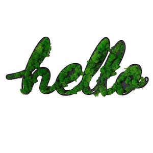 Anky Metal Green Wall Architectural Decor, Hello Letter Art Moss Wall Decor