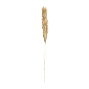 59 in. Tall Pampas Grass Natural Foliage (1 Bundle)