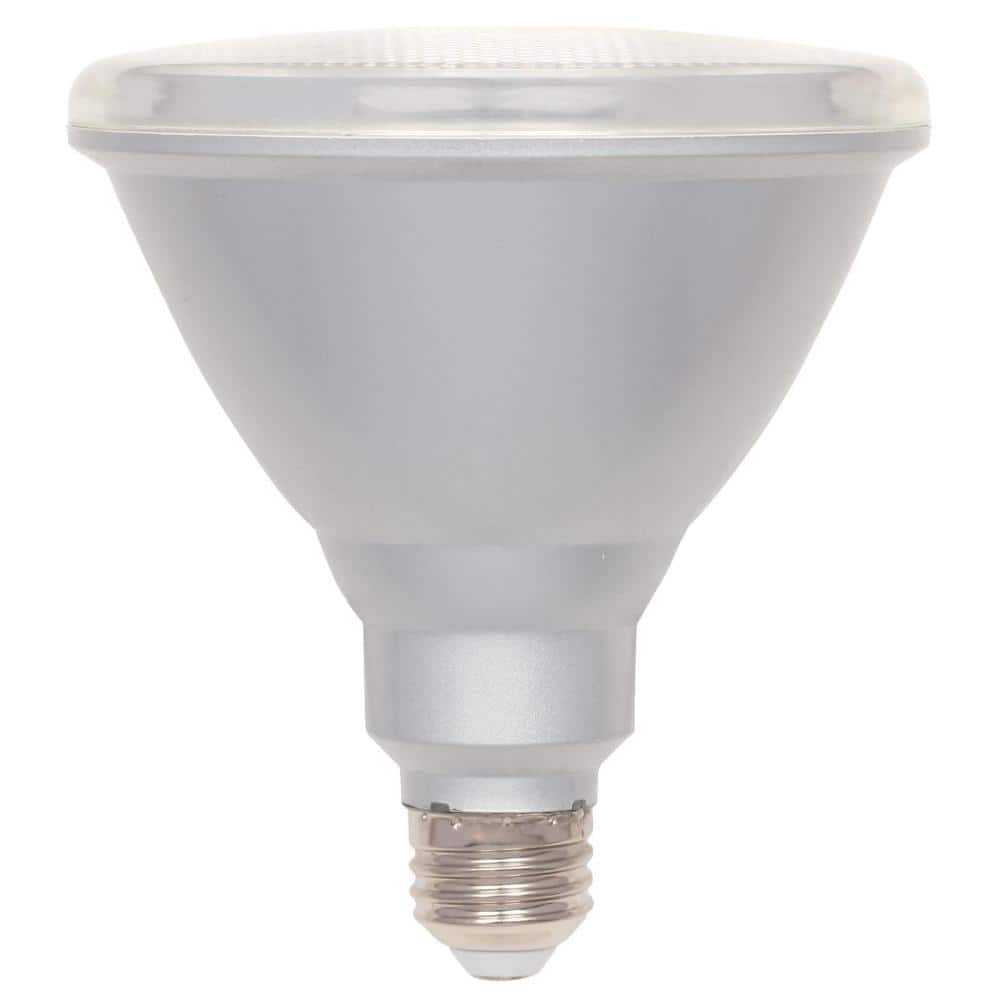 Clear Dimmable Energy Star PAR38 LED Flood Light Bulbs