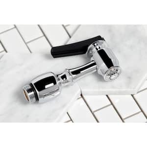 Vintage Single-Handle Standard Kitchen Faucet with Side Sprayer in Polished Chrome