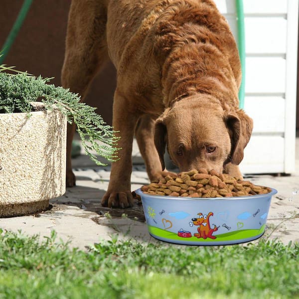https://images.thdstatic.com/productImages/05507a24-7151-43bd-9b11-97acd91465b0/svn/boomer-n-chaser-dog-food-bowls-bnc-10007-2-c3_600.jpg