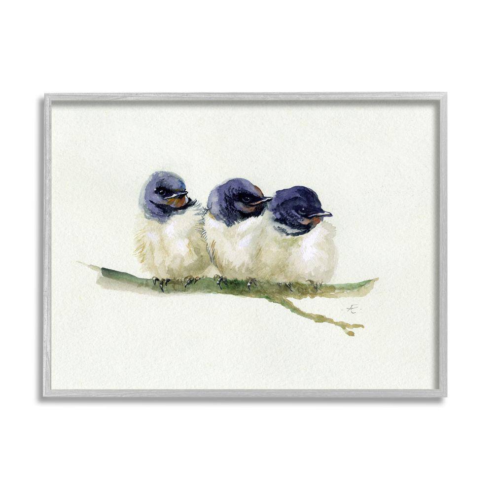 Trio of Baby Swallows Birds Perched on Branch by Verbrugge Watercolor Framed Animal Wall Art Print 24 in. x 30 in. price history on PriceWatchPro