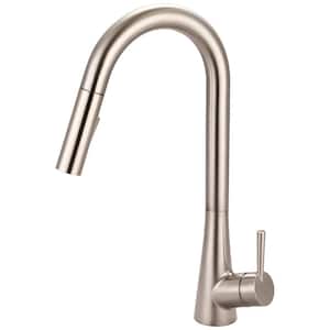 i2 Single-Handle Pull-Down Sprayer Kitchen Faucet with Straight Sprayer in Brushed Nickel