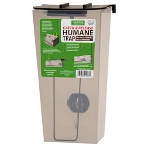 LifeSupplyUSA Humane Live Animal Trap - Catch and Release 1-Door Cage Trap  for Large Dogs, Foxes, Coyotes, Similar Sized Animals - No Kill Easy