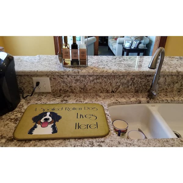Caroline's Treasures 14 in. x 21 in. Multicolor Bernese Mountain Dog Spoiled Dog Lives Here Dish Drying Mat