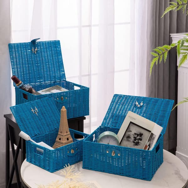 Afoxsos Blue 12 in. x 8 in. Polypropylene Decorative Basket Set of