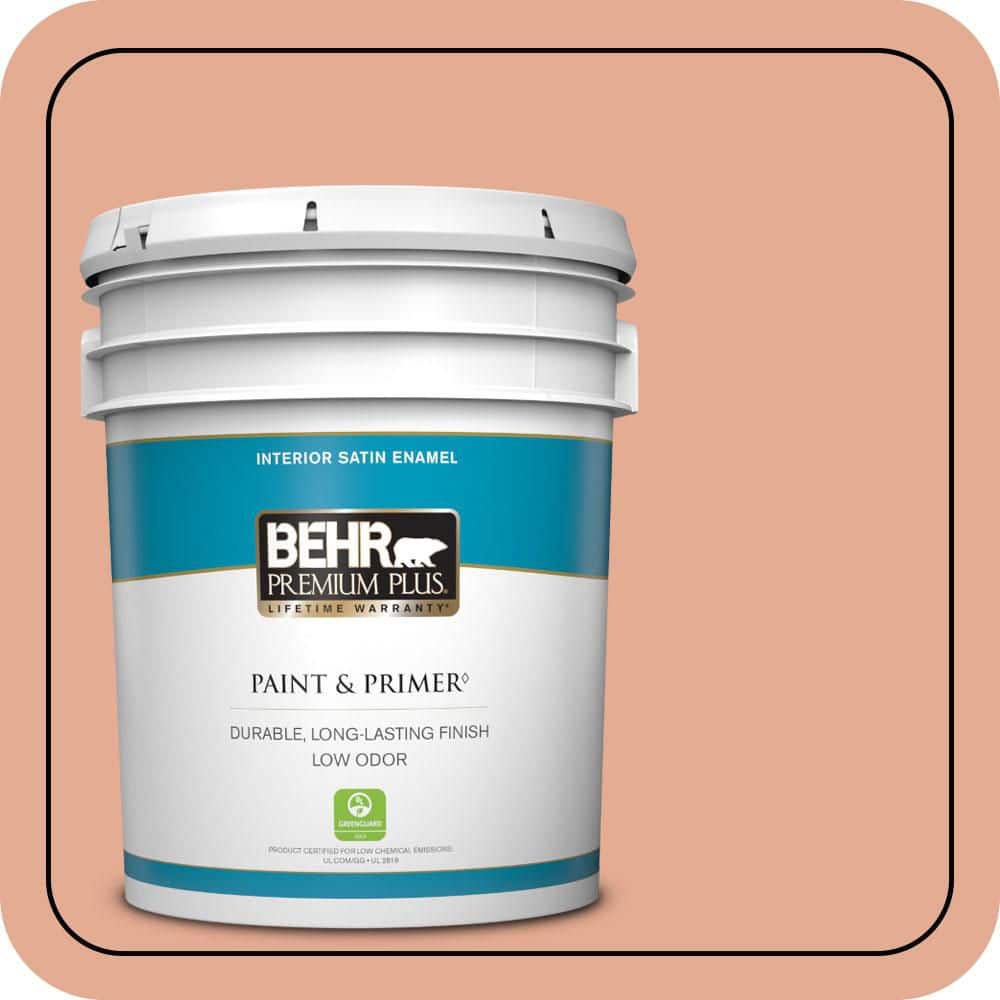5 gal. #M200-4 Coral Cloud Satin Enamel Low Odor Interior Paint & Primer price history on PriceWatchPro