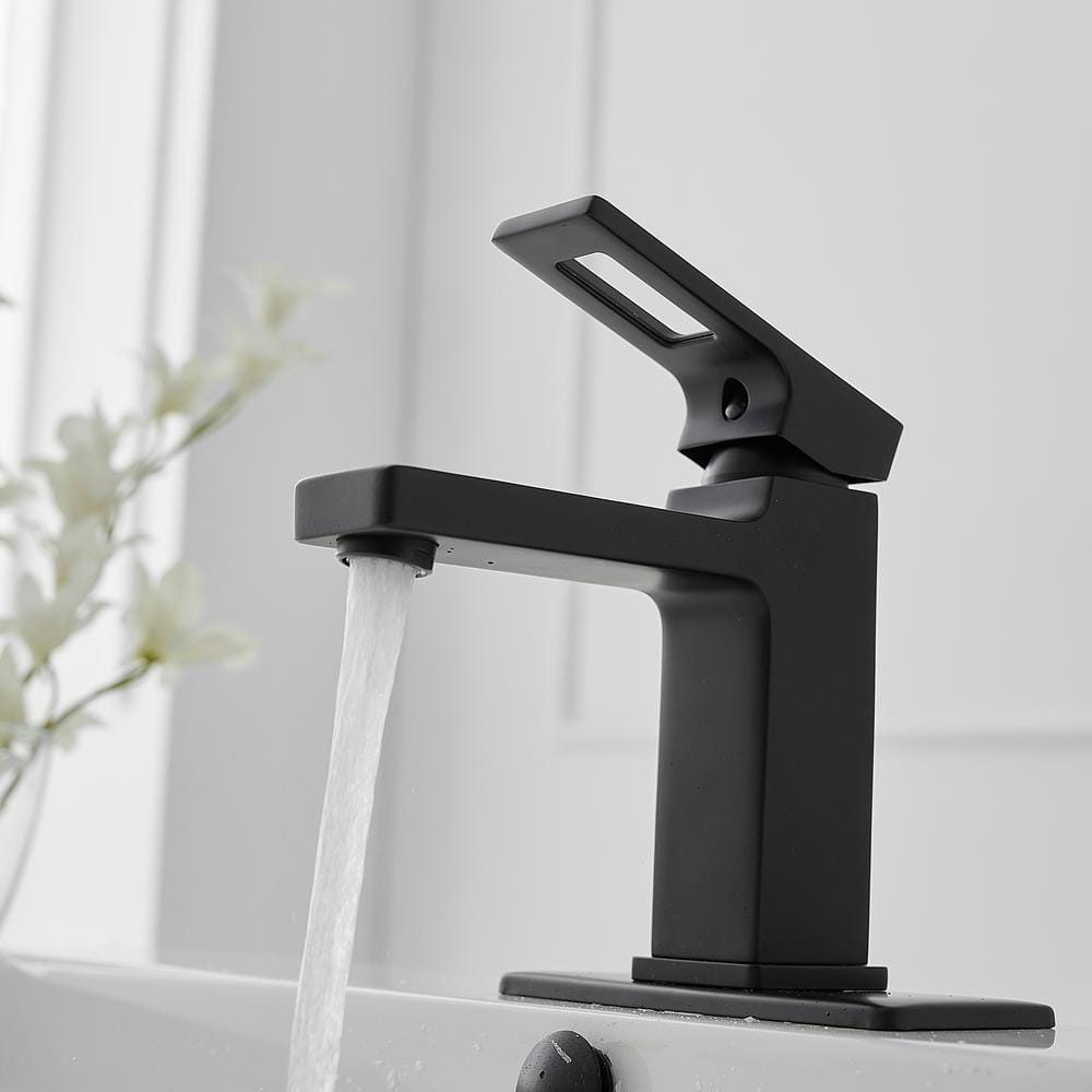 Matte Black Single-Handle Bathroom Faucet with Drain Assembly