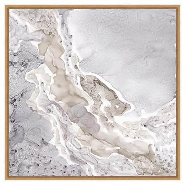 Amanti Art Beige and Grey Mineral Abstract by Tara Reed 30 in. W x 30 in. H Canvas Float Frame in Brown