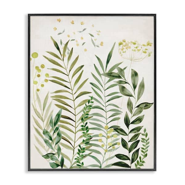 Delicate Herbs & Leaves by Hannah Dawson Black Framed Nature Giclee Art Print 20 in. x 16 in.