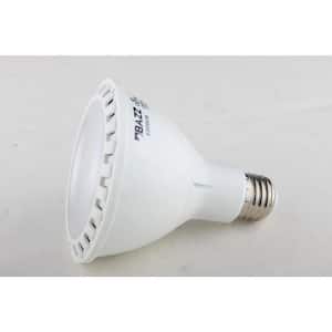 60W Equivalent Soft White PAR30 LED Light Bulb