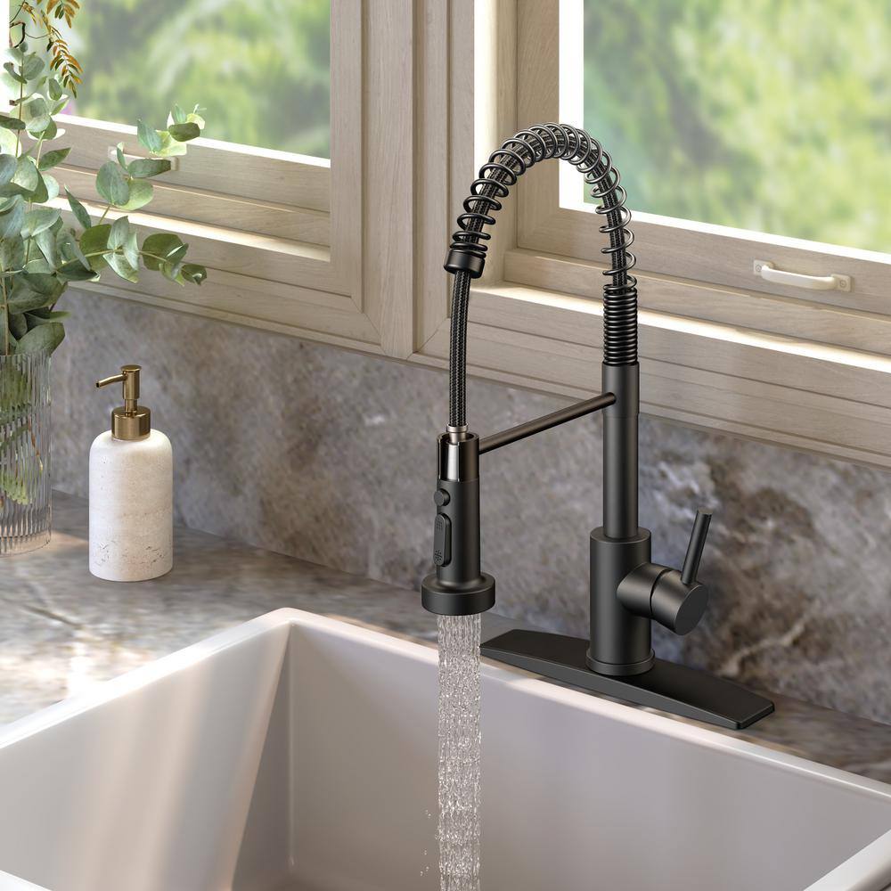Matte Black Stainless Steel Pull Down Kitchen Faucet with Deck Plate