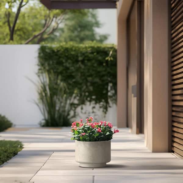 10 in. Small Light Gray Concrete Round Planter / Pot with Drainage Holes