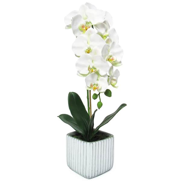 30" Artificial Single Orchid with Leaves White Set of 12 