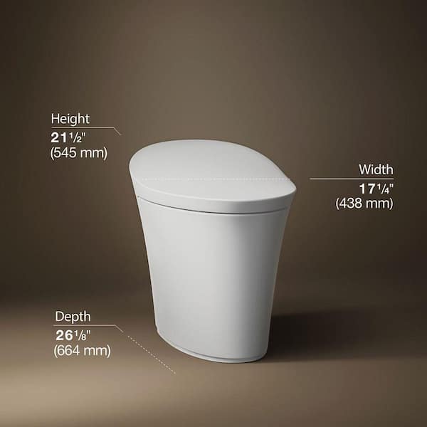 Veil Comfort Height Intelligent 1-Piece 0.8 GPF Dual Flush Elongated Toilet in White with built in bidet, Seat Included