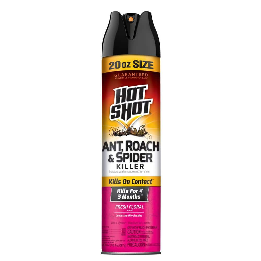 Reviews for Hot Shot 20 oz. Ant, Roach, and Spider Insect Killer ...