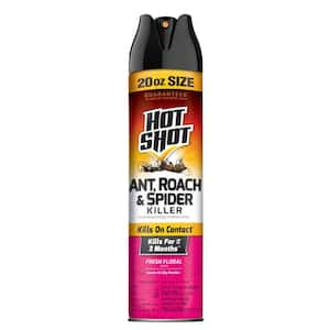 20 oz. Ant, Roach, and Spider Insect Killer Aerosol Spray Fresh Floral Scent